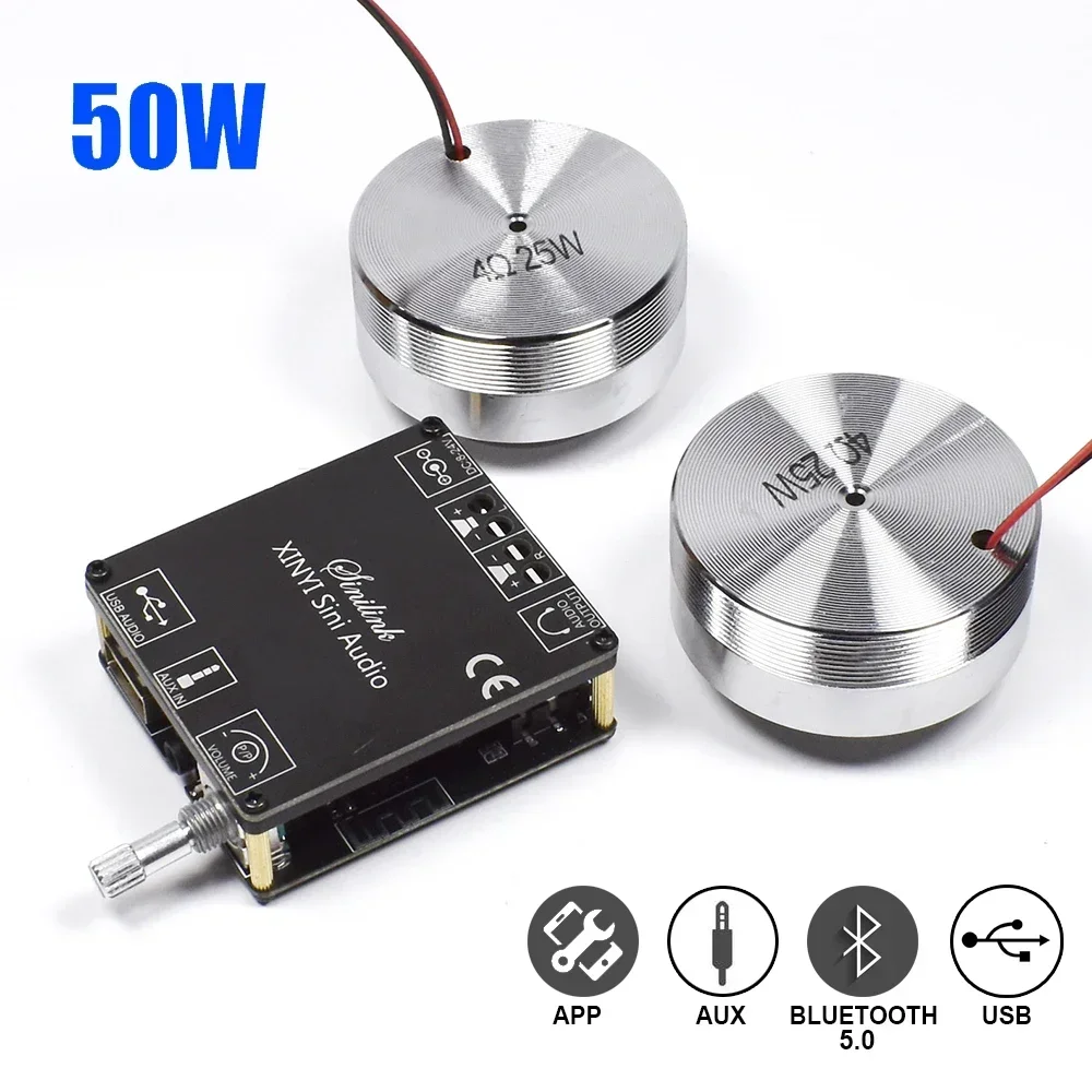Home Cinema Hall - Haut-parleur stéréo Portable à vibrations, 2x25W,