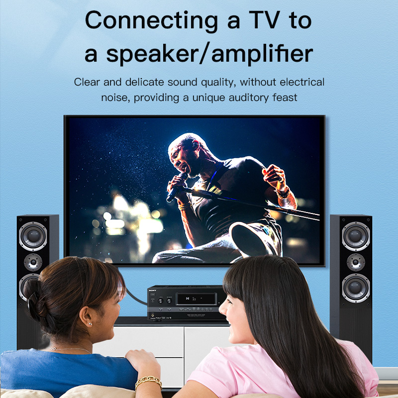 Câble RCA CHOSEAL, câble audio - Home Cinema Hall avis et prix